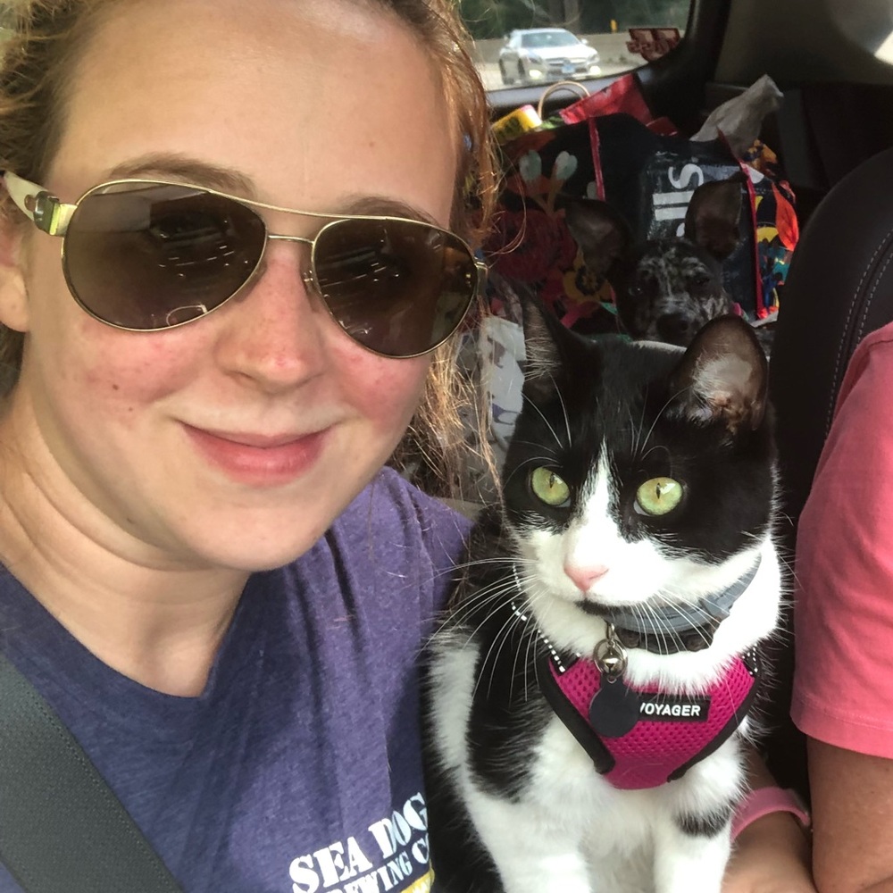 Meet your Posher, Sam